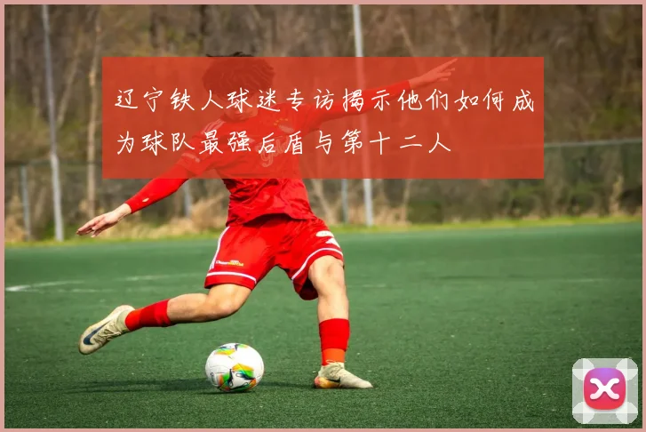 辽宁铁人球迷专访揭示他们如何成为球队最强后盾与第十二人
